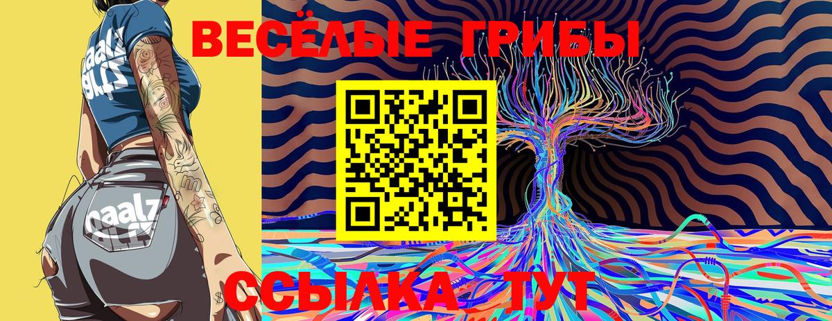 Галлюциногенные грибы мицелий Орск