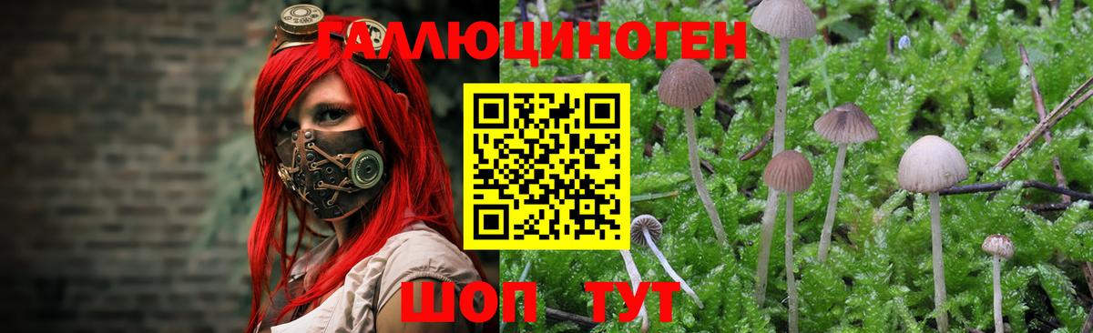 Галлюциногенные грибы мицелий  Вход с VPN  Орск 
