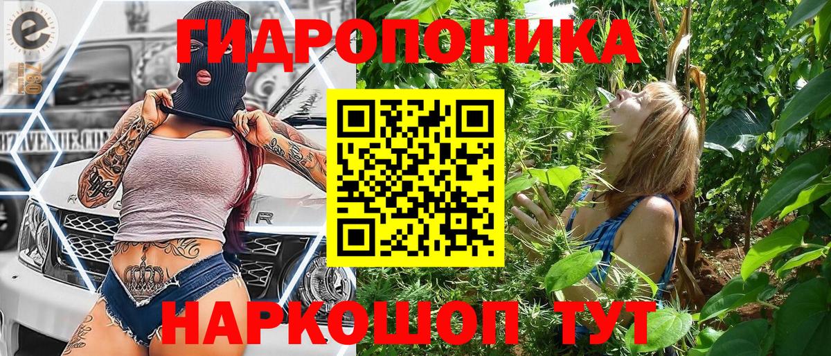 Бошки Шишки MAZAR  Конопля марихуана  Бошки Шишки планчик  Орск  Вход с VPN 
